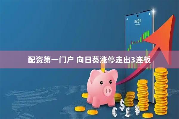 配资第一门户 向日葵涨停走出3连板